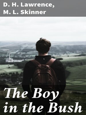 cover image of The Boy in the Bush